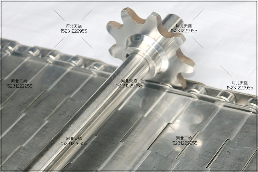 不銹鋼網(wǎng)帶